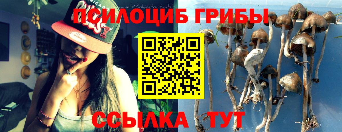 Псилоцибиновые грибы мицелий Протвино
