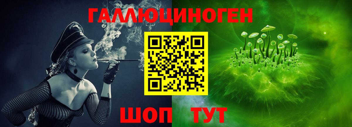 Протвино  Галлюциногенные грибы Psilocybe  Вход с VPN 